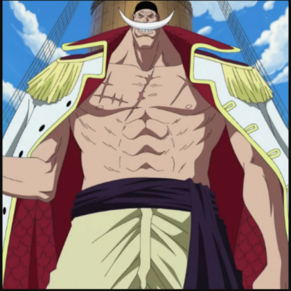 one piece Roblox decal