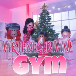 Virtuous Divine Open Gym