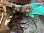 Horse group hangout ONLY horse FANS