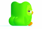 Birdie army!