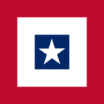 Texan Security Forces