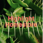 Highlight Homestore