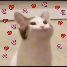 ♥ 牧草地🔅 ♥