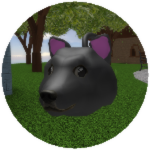 Cat Doge