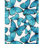 The Butterfly Imagination Squad