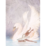 ~{ The Dancing Swans Academy }~