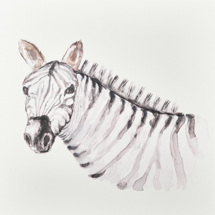 Aesthetic Jungle Watercolor Nursery Art Zebra bww Roblox decal