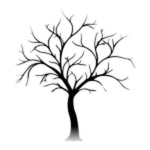 Branches
