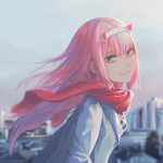 ZeroTwo(code002) ARMY