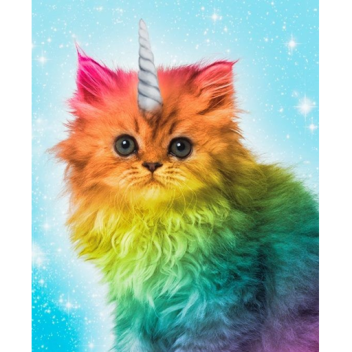 Roblox Creator Challenge