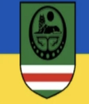 Ukraine Volunteers