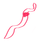 Snakes are awesome