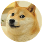 The Chill People That Love Doge