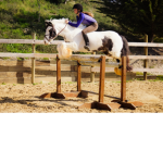 jumping academy