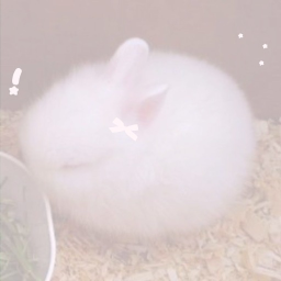 Ი𐑼