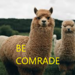 Ze Llama Tribe