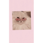 KittyCat Club!!