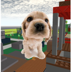 DAWGH