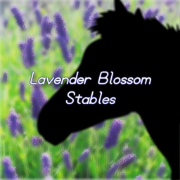 Lavender Blossom Stables