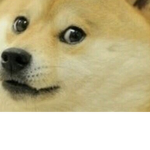 Doge Military/S.S.S