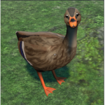 Givin robux to frens