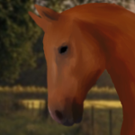 《~》Forest Hill Riding Academy《~》