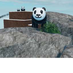 Panda Fun!!