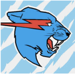 MRBeast gaming group
