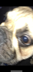 NO L0NGER IN USE