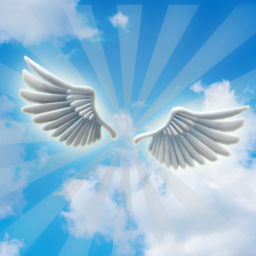 Angel Wings Showcase