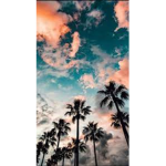 Summers paradise