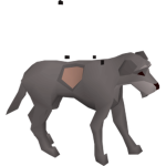 Miner's Fortune