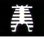 C.a.r.c.u.s
