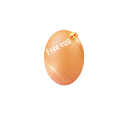 free eggs