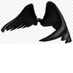 The home of wing people