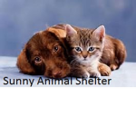 Sunny Animal Shelter