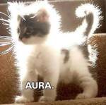 Aura Create