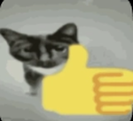 Noah's dev group