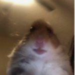 Sxweetiee Fan Club