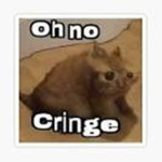 Cringe Squad Army