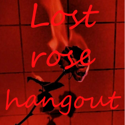Lost rose hangout.