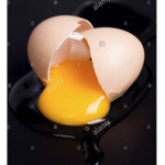The old eggs