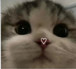 Rylee Sanrio