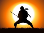 U.S. ninjas