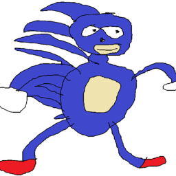 Sanic runner