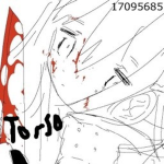 torso; R