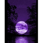 Purple Lads