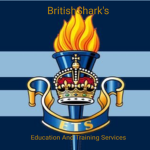 |B.A| Education And Training Services.