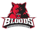 bloods_game
