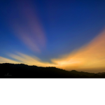 Fat dawgs